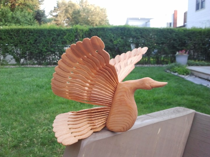 Wood Fan Bird Duck